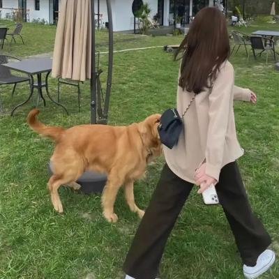大王不高兴第一季